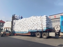 把握機(jī)遇、鉚足干勁、承勢(shì)而上