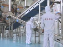 2025年的第一個(gè)月，承德亞歐果仁有限公司在山杏產(chǎn)業(yè)的道路上持續(xù)奮進(jìn)，展現(xiàn)出蓬勃的發(fā)展活力。